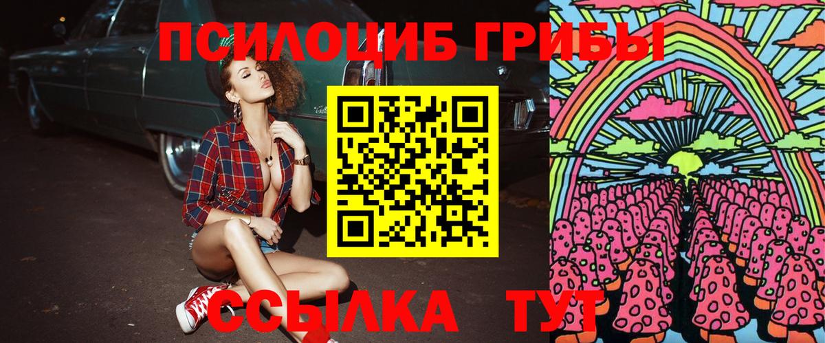 Галлюциногенные грибы Psilocybine cubensis  наркота  Электросталь  Вход с VPN 